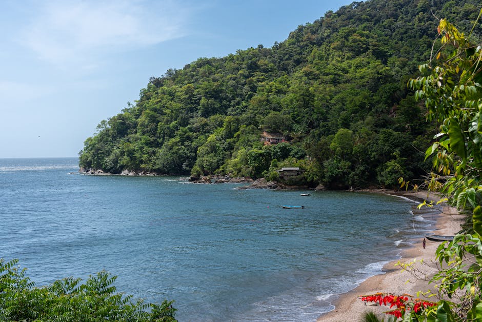 A quiet bay below green coastal hills
