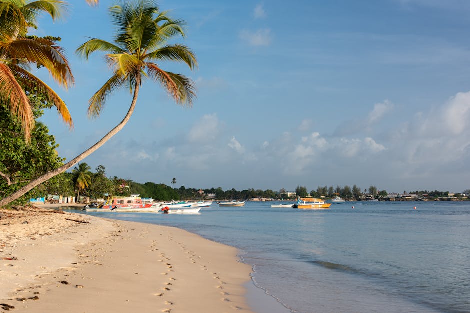 Tobago shoreline
